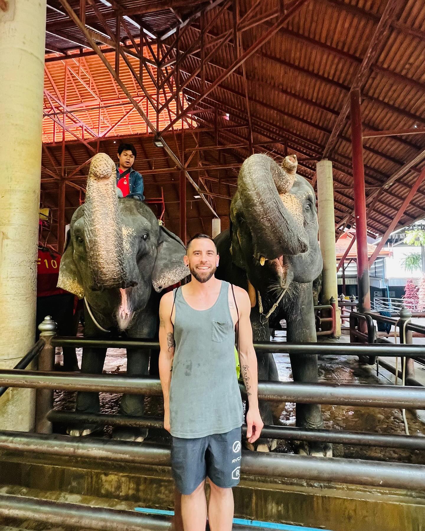Greg Wegman with elephants in his happy place